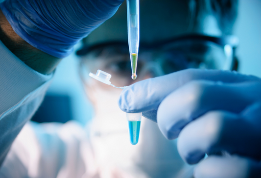 Histamin – wie alles begann
