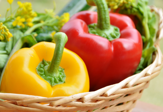 HITTIE FAVOURITES - PAPRIKA