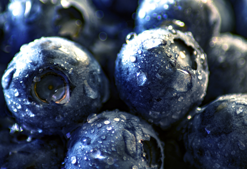 Quercetin – natürliche Hilfe bei Histaminose und Allergien
