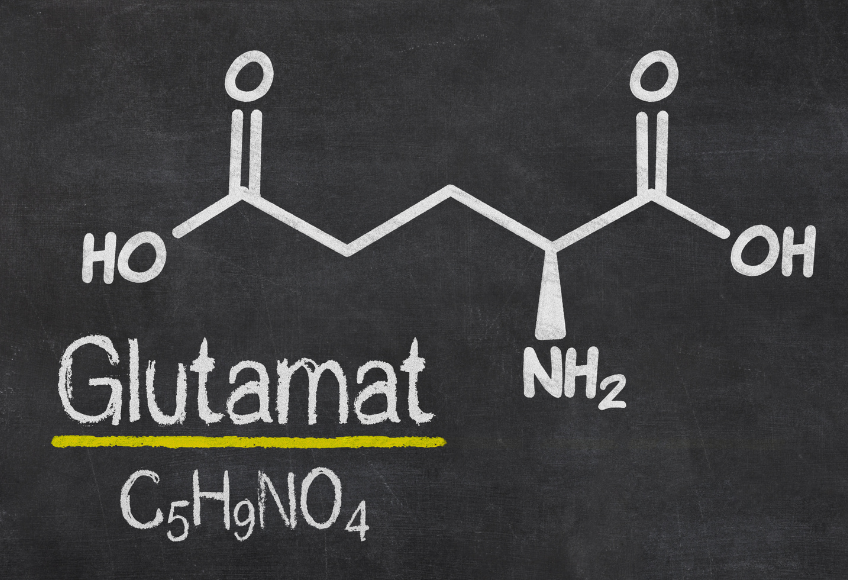 Glutamat Aminosäure