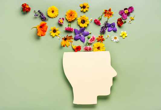 Wie unsere Psyche unsere Gesundheit beeinflusst