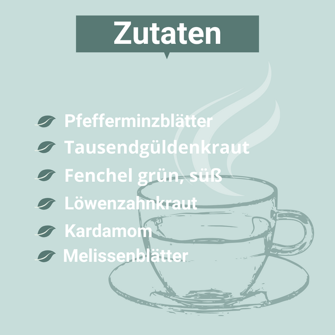 Grüne Grafik mit der Überschrift „Zutaten“. Aufgelistet sind:
– Pfefferminzblätter
– Tausendgüldenkraut
– Fenchel grün, süß
– Löwenzahnkraut
– Kardamom
– Melissenblätter
Links daneben je ein Blattsymbol, im Hintergrund eine gezeichnete Teetasse mit aufsteigendem Dampf.