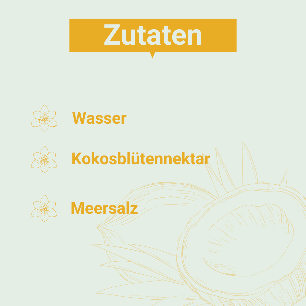 Helle Grafik mit der Überschrift „Zutaten“. Aufgelistet sind:
– Wasser
– Kokosblütennektar
– Meersalz
Links neben jedem Punkt ein stilisiertes Blüten-Icon, im Hintergrund eine gezeichnete Kokosnuss.