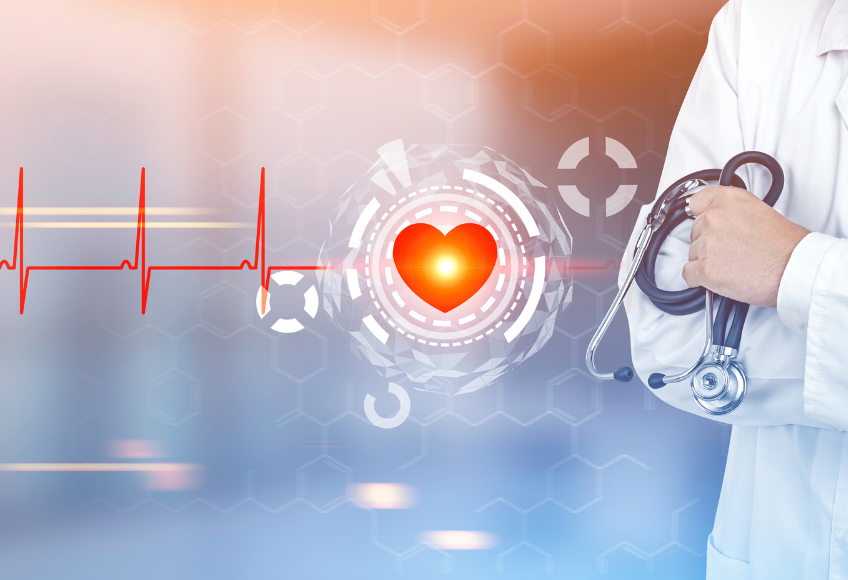 Organ series: heart