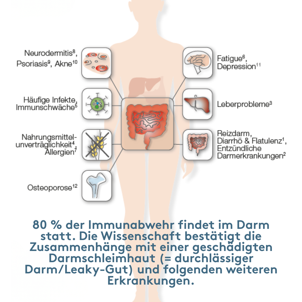 Infografik Körpersilhouette mit hervorgehobenem Darm: seitlich verbundene Piktogramme und Begriffe wie Neurodermitis/Psoriasis/Akne, häufige Infekte/Immunschwäche, Nahrungsmittelunverträglichkeit/Allergien, Osteoporose, Fatigue/Depression, Leberprobleme, Reizdarm/Diarrhö/Flatulenz/entzündliche Darmerkrankungen; unten Text zur Bedeutung der Darmbarriere.