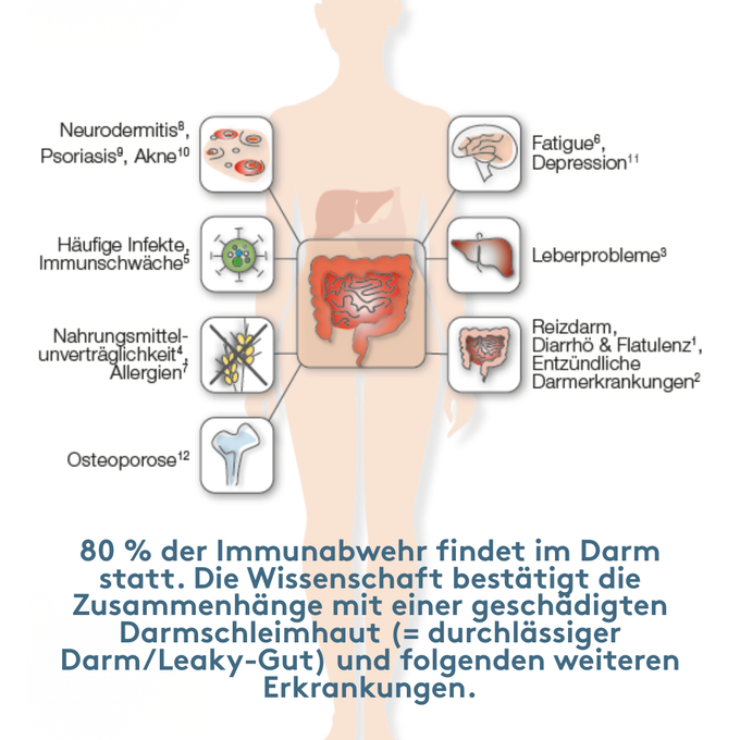 Infografik Körpersilhouette mit hervorgehobenem Darm: seitlich verbundene Piktogramme und Begriffe wie Neurodermitis/Psoriasis/Akne, häufige Infekte/Immunschwäche, Nahrungsmittelunverträglichkeit/Allergien, Osteoporose, Fatigue/Depression, Leberprobleme, Reizdarm/Diarrhö/Flatulenz/entzündliche Darmerkrankungen; unten Text zur Bedeutung der Darmbarriere.
