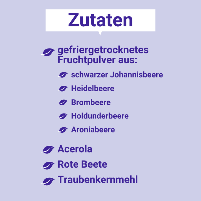 Grafik mit Zutatenübersicht des Beerenstark Superfoodmix: Gefriergetrocknetes Fruchtpulver aus schwarzen Johannisbeeren, Heidelbeeren, Brombeeren, Holunderbeeren, Aroniabeeren, ergänzt mit Acerola, Roter Beete und Traubenkernmehl.