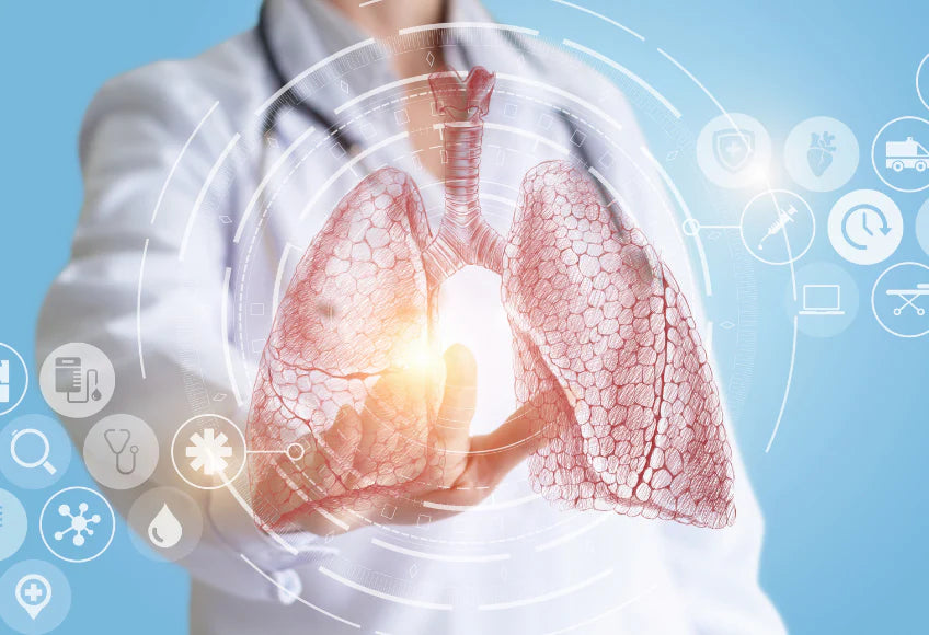 Organ series: lungs