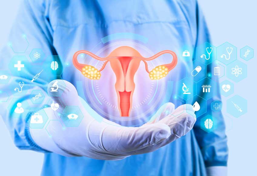 Organ series: ovaries