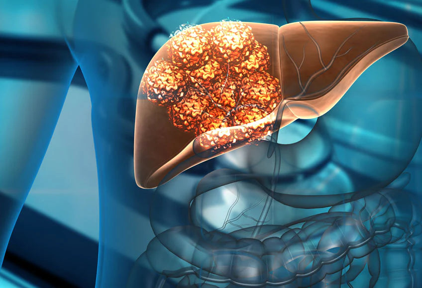 Organ series: liver