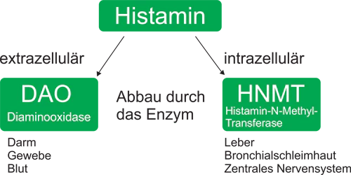 Histaminintoleranz