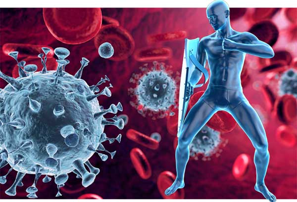 immune system