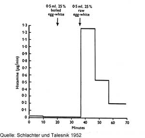 Schwarz-weiß-Diagramm aus der Quelle „Schlachter und Talesnik 1952“, das den Histaminwert (µg/min) über Minuten zeigt. Markiert sind zwei Pfeile: bei 30 Minuten für „0,5 ml 25 % gekochtes Eiweiß“ und bei 40 Minuten für „0,5 ml 25 % rohes Eiweiß“. Nach rohem Eiweiß steigt der Histaminwert stark an.