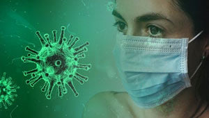 immune system