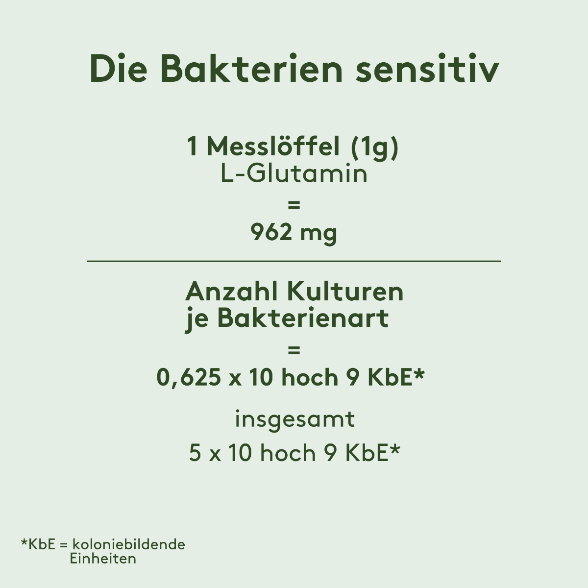 Grafik zur Zusammensetzung von „Die Bakterien sensitiv“: 1 Messlöffel (1 g) enthält 962 mg L-Glutamin. Pro Bakterienart 0,625 × 10⁹ KbE, gesamt 5 × 10⁹ KbE.*
(*KbE = koloniebildende Einheiten)