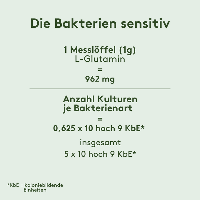 Grafik zur Zusammensetzung von „Die Bakterien sensitiv“: 1 Messlöffel (1 g) enthält 962 mg L-Glutamin. Pro Bakterienart 0,625 × 10⁹ KbE, gesamt 5 × 10⁹ KbE.*
(*KbE = koloniebildende Einheiten)