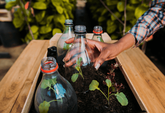 Nachhaltige Ernährung
