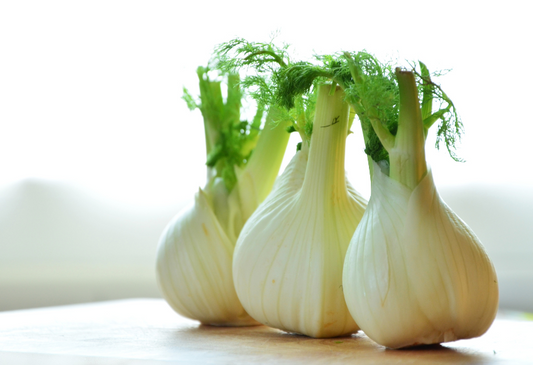 HITTIE FAVOURITES - FENCHEL