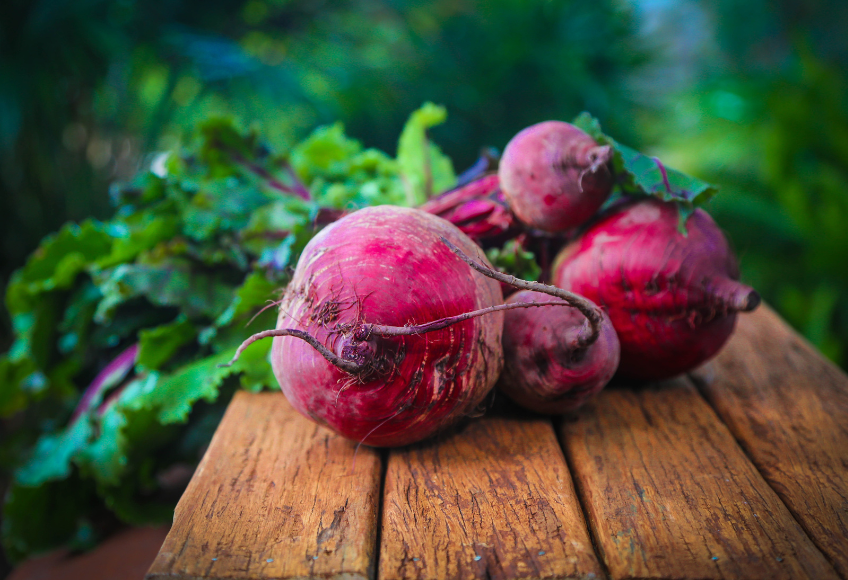 HITTIE FAVOURITES - ROTE BEETE