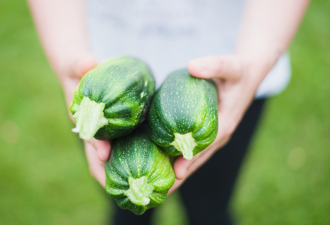 HITTIE FAVOURITES - ZUCCHINI