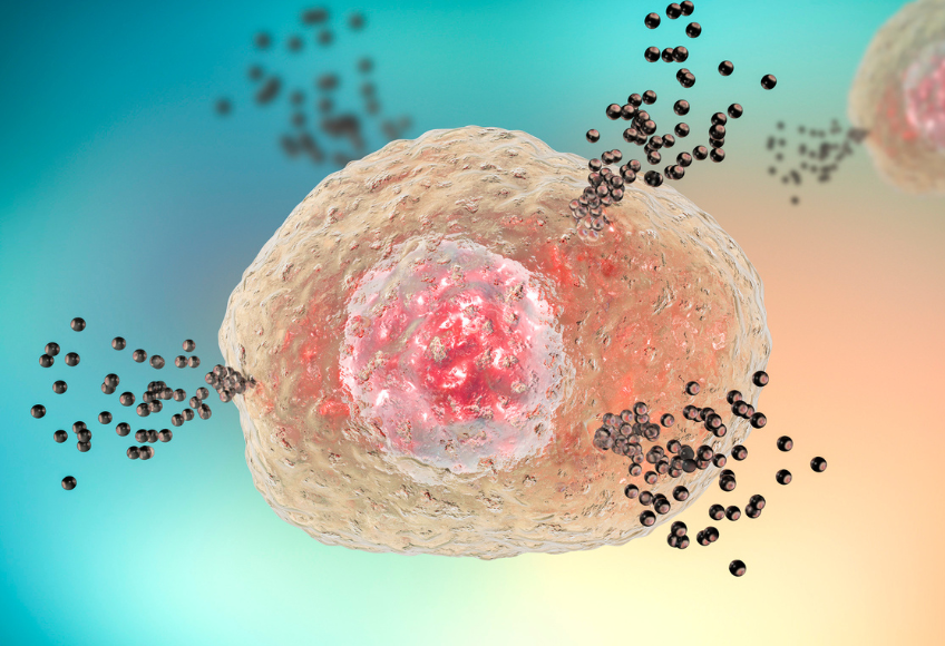 Mastzell-Aktivierungssyndrom ( MCAS ) und Histaminose