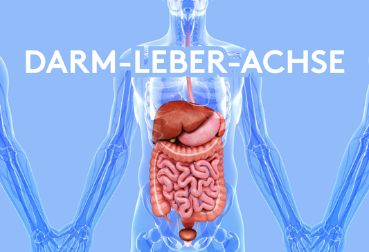 Darm-Leber-Achse