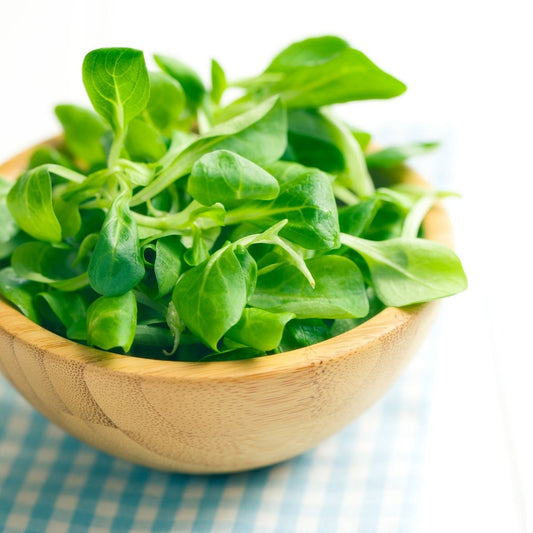 Feldsalat – histaminarm und vielseitig