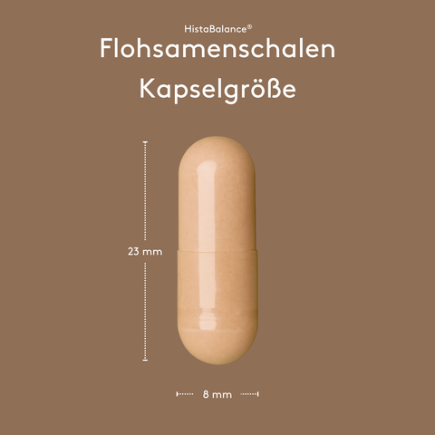 Grafische Darstellung „HistaBalance® Flohsamenschalen Kapselgröße“ auf braunem Hintergrund. Eine einzelne Kapsel ist mittig abgebildet, mit Maßangaben von 23 mm Höhe und 8 mm Breite.