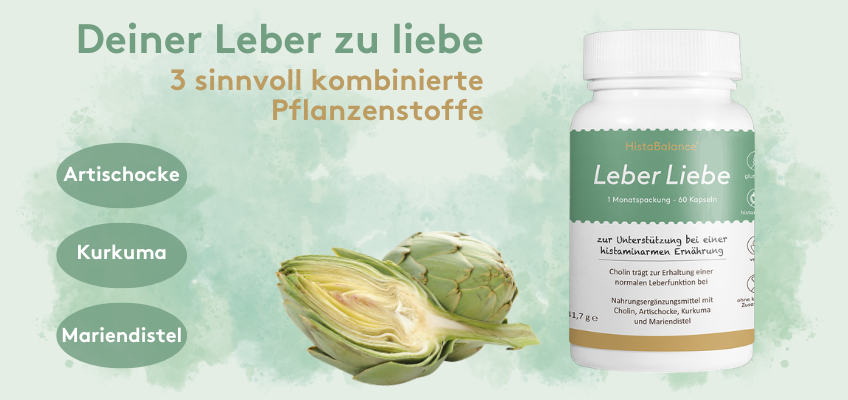 Darm-Leber-Achse