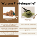 Infografik zum Vergleich von herkömmlichen Proteinshakes und dem Histaminikus Protein Shake mit Fokus auf Bio-Zutaten, Verzicht auf Süßstoffe und Eignung für eine histaminarme Ernährung.