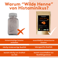 Vergleichsgrafik mit zwei Spalten: links ein Glas mit grauem Pulver und rotem X, rechts die Tüte „Wilde Henne“ mit weißem Haken. Darunter gegenübergestellt: histaminhaltige vs. histaminarme Zutaten, minderwertige vs. laborgeprüfte Qualität, hoher Salzanteil vs. reine Qualitätsgewürze.