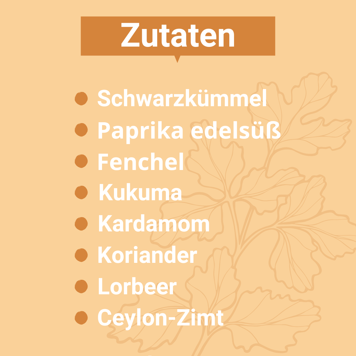 Grafik mit den Zutaten des Garam Masala: Schwarzkümmel, Paprika edelsüß, Fenchel, Kurkuma, Kardamom, Koriander, Lorbeer, Ceylon-Zimt
