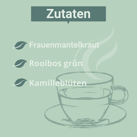 Grafik mit mintgrünem Hintergrund. Oben mittig die Überschrift „Zutaten“ in einem dunkelgrünen Balken. Darunter eine Zutatenliste mit drei Einträgen, jeweils begleitet von einem stilisierten Blatt-Symbol: Frauenmantelkraut, Rooibos grün, Kamilleblüten. Rechts unten eine gezeichnete Teetasse mit Unterteller, aus der stilisierter Dampf aufsteigt.