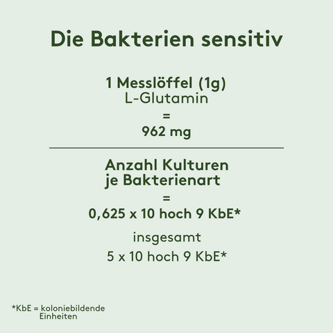Grafik zur Zusammensetzung von „Die Bakterien sensitiv“: 1 Messlöffel (1 g) enthält 962 mg L-Glutamin. Pro Bakterienart 0,625 × 10⁹ KbE, gesamt 5 × 10⁹ KbE.*
(*KbE = koloniebildende Einheiten)